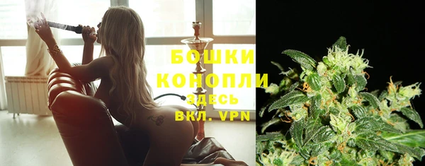 молекула духа Бугульма