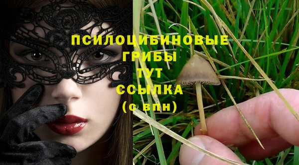 молекула духа Бугульма