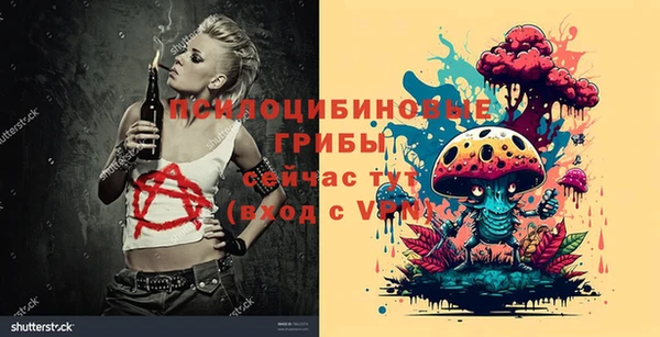 молекула духа Бугульма