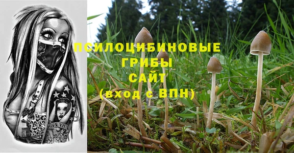 хмурый Бронницы