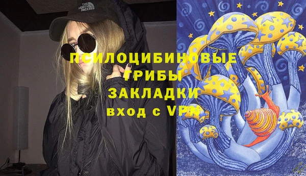 молекула духа Бугульма