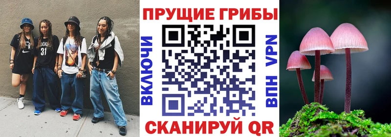где купить наркотик  Горячий Ключ  kraken как зайти  Галлюциногенные грибы GOLDEN TEACHER 