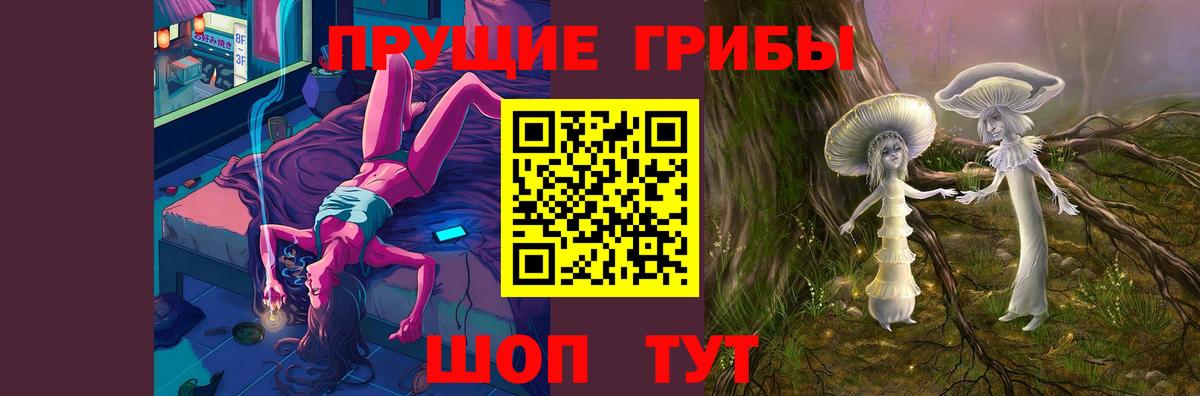 Галлюциногенные грибы Cubensis Горячий Ключ