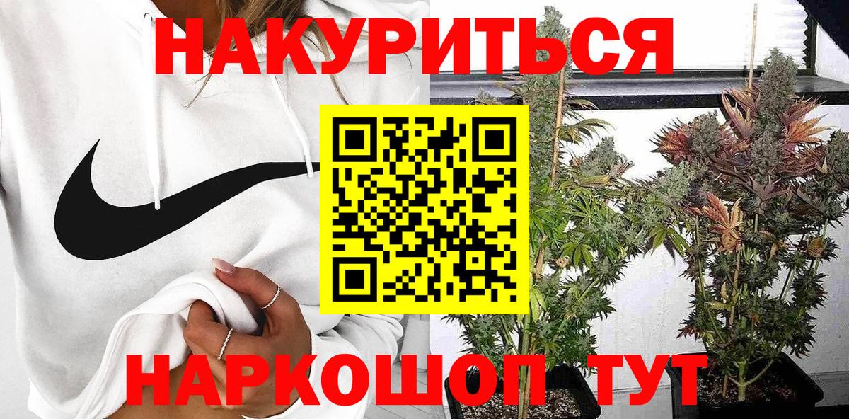 Бошки Шишки тримм  Вход с VPN  Каннабис планчик  МАРИХУАНА планчик  Горячий Ключ 